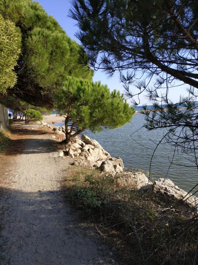 Charmant Appartement A 350M De La Plage Et Du Port Frejus Bagian luar foto